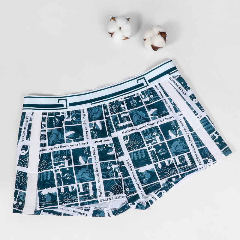 Herrenunterwäsche, Herren-Aro- – Boxer Brief Pack Cotton Bewertung und Preis
